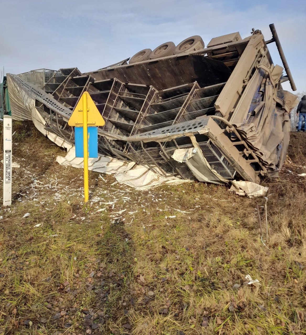 24 ноября в 9 часов 40 минут на 5 километре автодороги «Каспий-Новокозьмодемьяновское-Хобот-Богоявленское» на территории Первомайского муниципального округа, мужчина 1993 года рождения, управляя автомобилем «Mercedes-Benz» в...