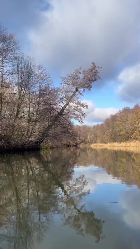 Солнечное утро на Вороне. тг-канал "Люди Вороны"