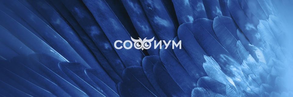 В декабре пройдет второй тур регионального этапа Всероссийской олимпиады «Софиум»