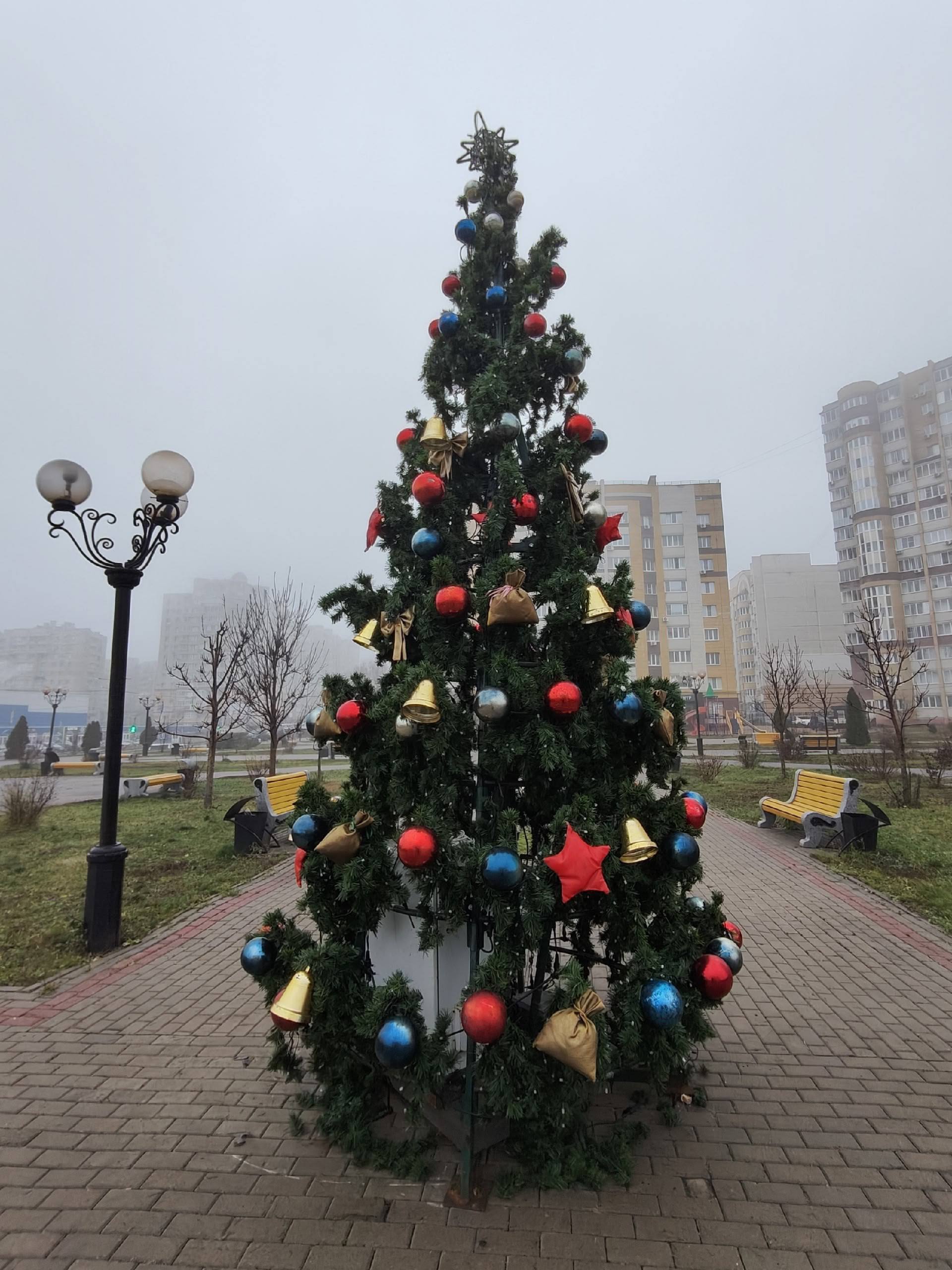 Тамбов постепенно погружается в новогоднее настроение Тамбов постепенно погружается в новогоднее настроение