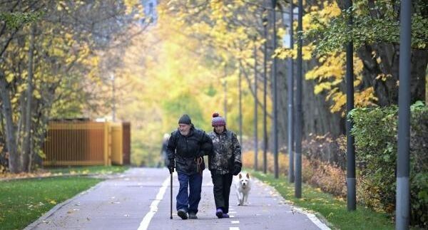 Где в России проживает наибольшее количество пенсионеров?