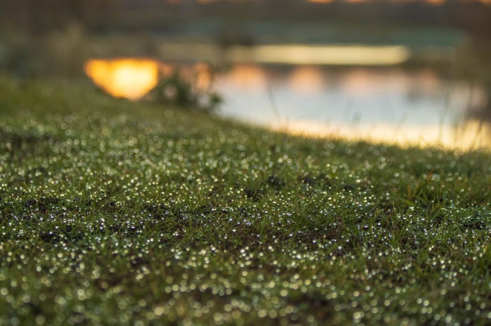 Осень рассыпала бисер из льдинок на берегу Цны