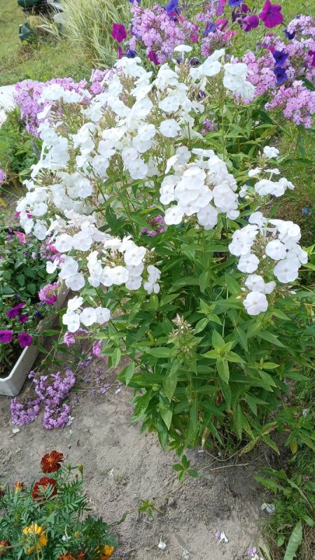 Как всего полчаса в день меняет жизнь на пенсии