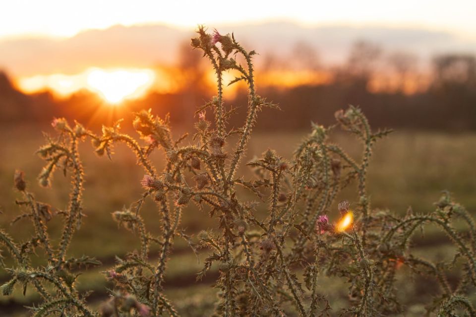 До зимы три дня, но погода не в курсе