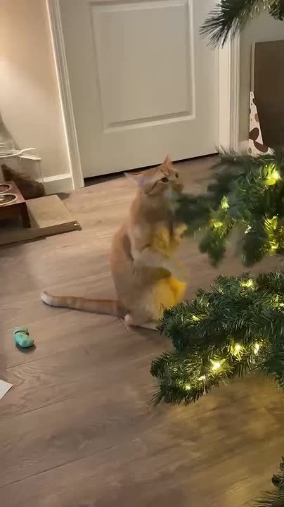 Скоро во всех домах страны