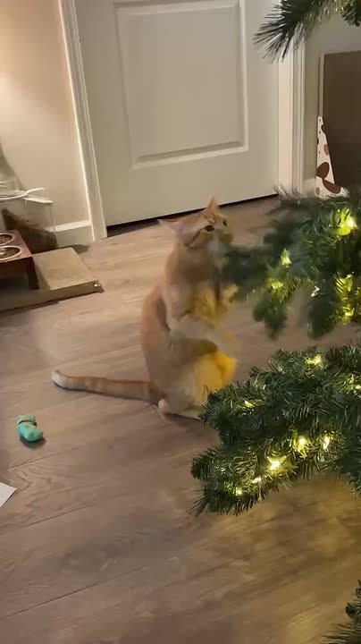 Скоро во всех домах страны