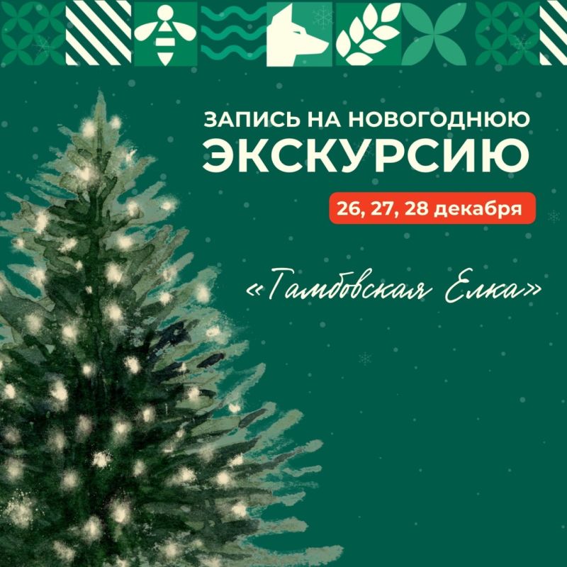 Жителей Тамбовской области приглашают на экскурсию «Тамбовская елка: от рождественских свечей до советских звезд» (6+)