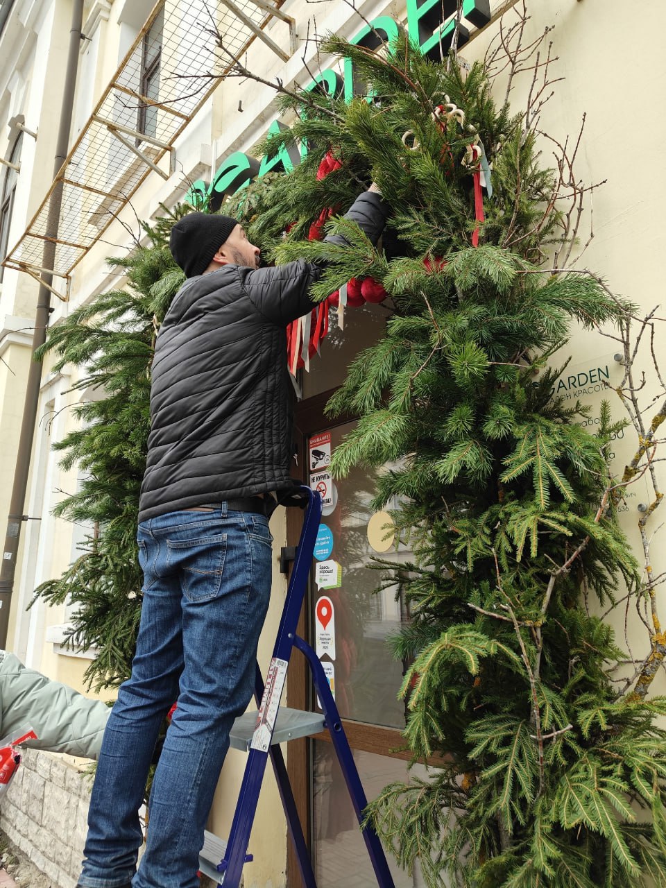 Новогодние ёлки украсили Французский сквер и сквер Сенько Новогодние ёлки украсили Французский сквер и сквер Сенько