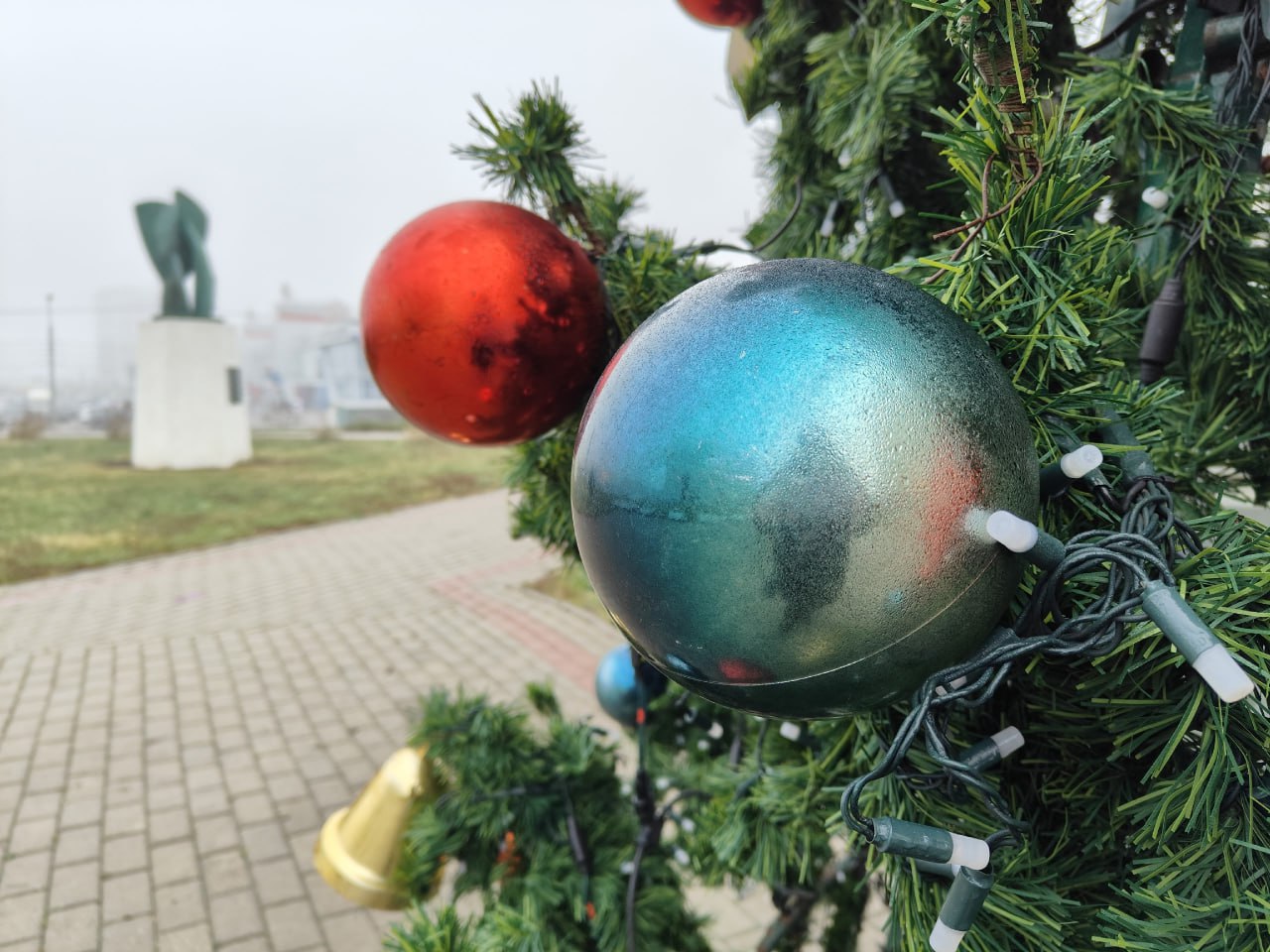 Новогодние ёлки украсили Французский сквер и сквер Сенько Новогодние ёлки украсили Французский сквер и сквер Сенько