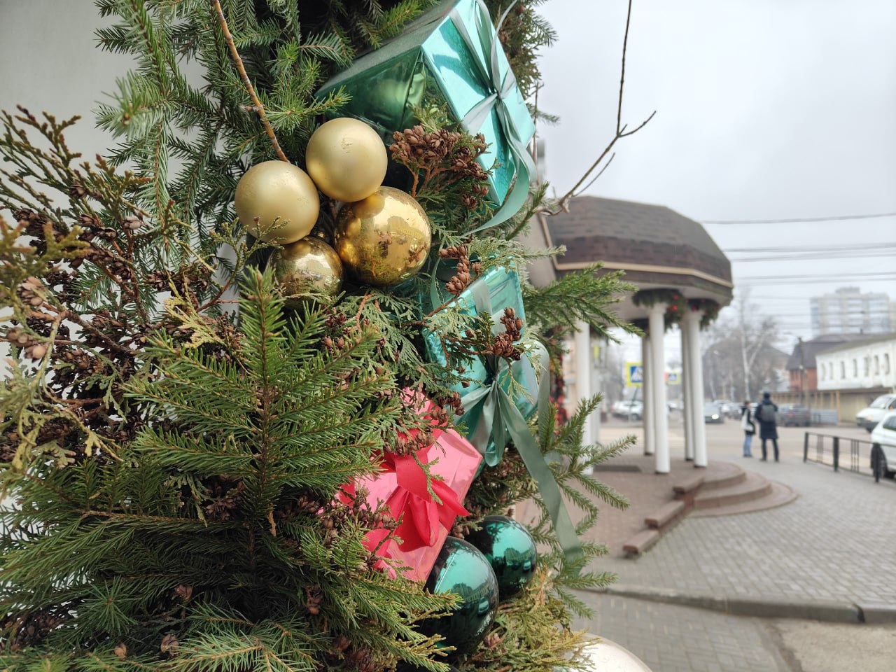 Новогодние ёлки украсили Французский сквер и сквер Сенько Новогодние ёлки украсили Французский сквер и сквер Сенько