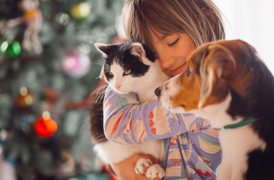 У 70% россиян есть домашние животные