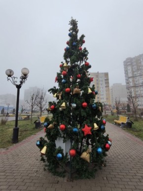 Новогодние ёлки украсили Французский сквер и сквер Сенько