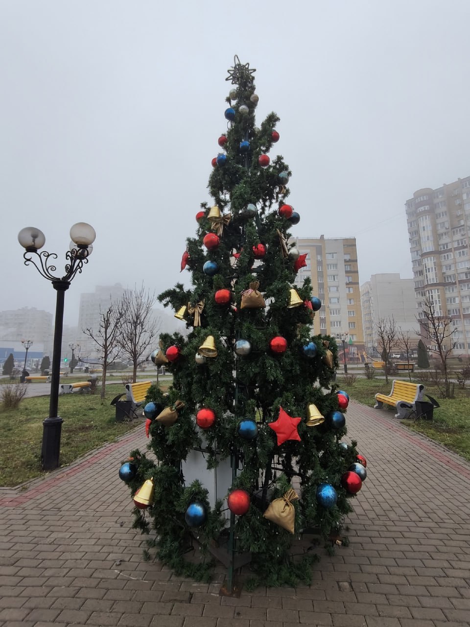 Новогодние ёлки украсили Французский сквер и сквер Сенько