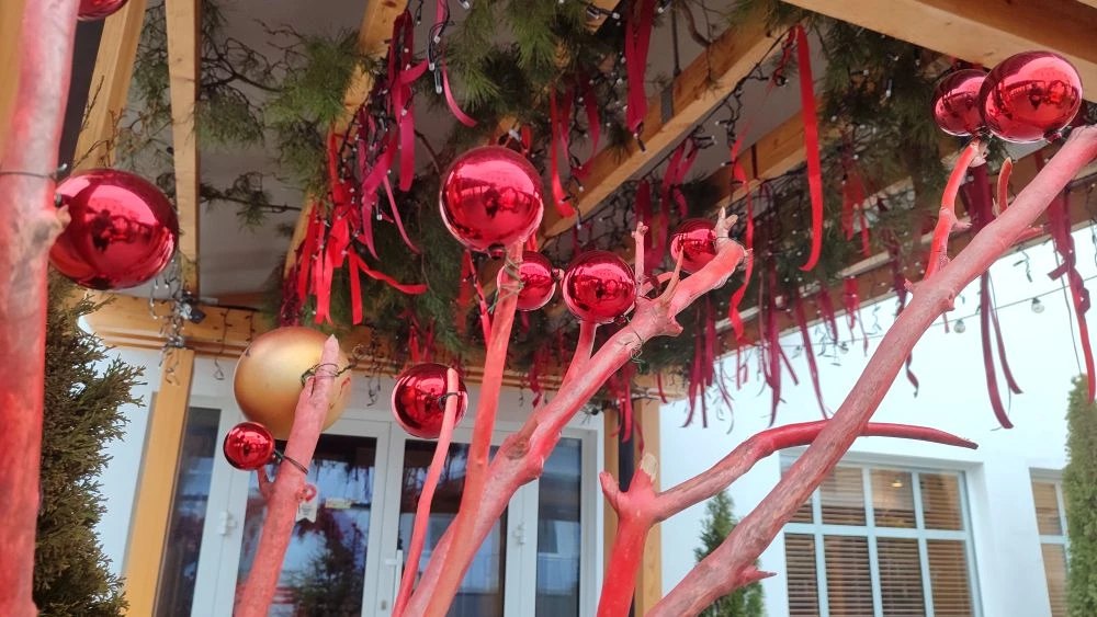 С каждым днем Тамбов все больше погружается в атмосферу предстоящих новогодних праздников С каждым днем Тамбов все больше погружается в атмосферу предстоящих новогодних праздников