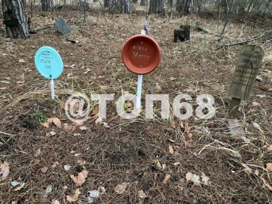 В Тамбове обнаружили самодельное кладбище домашних животных