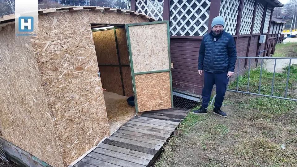 В Тамбове объяснили выбор места установки домика для зимовки гусей