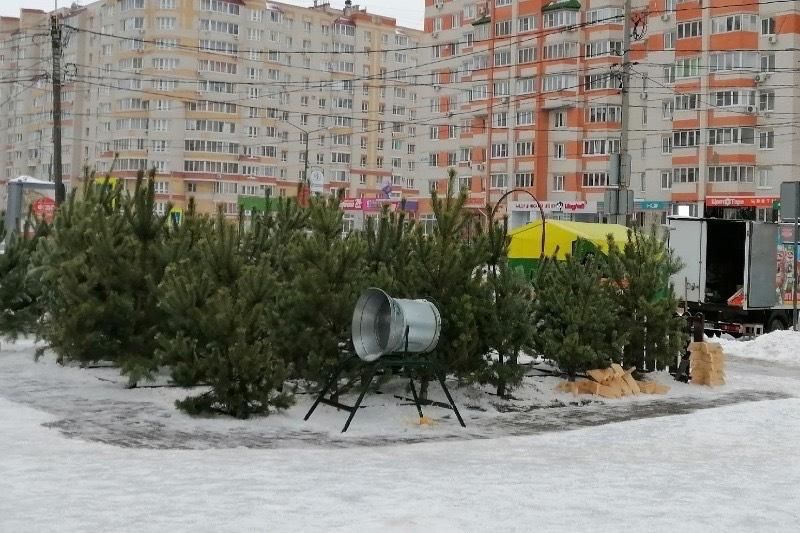 В Тамбове определили 23 площадки для новогодних ёлочных базаров