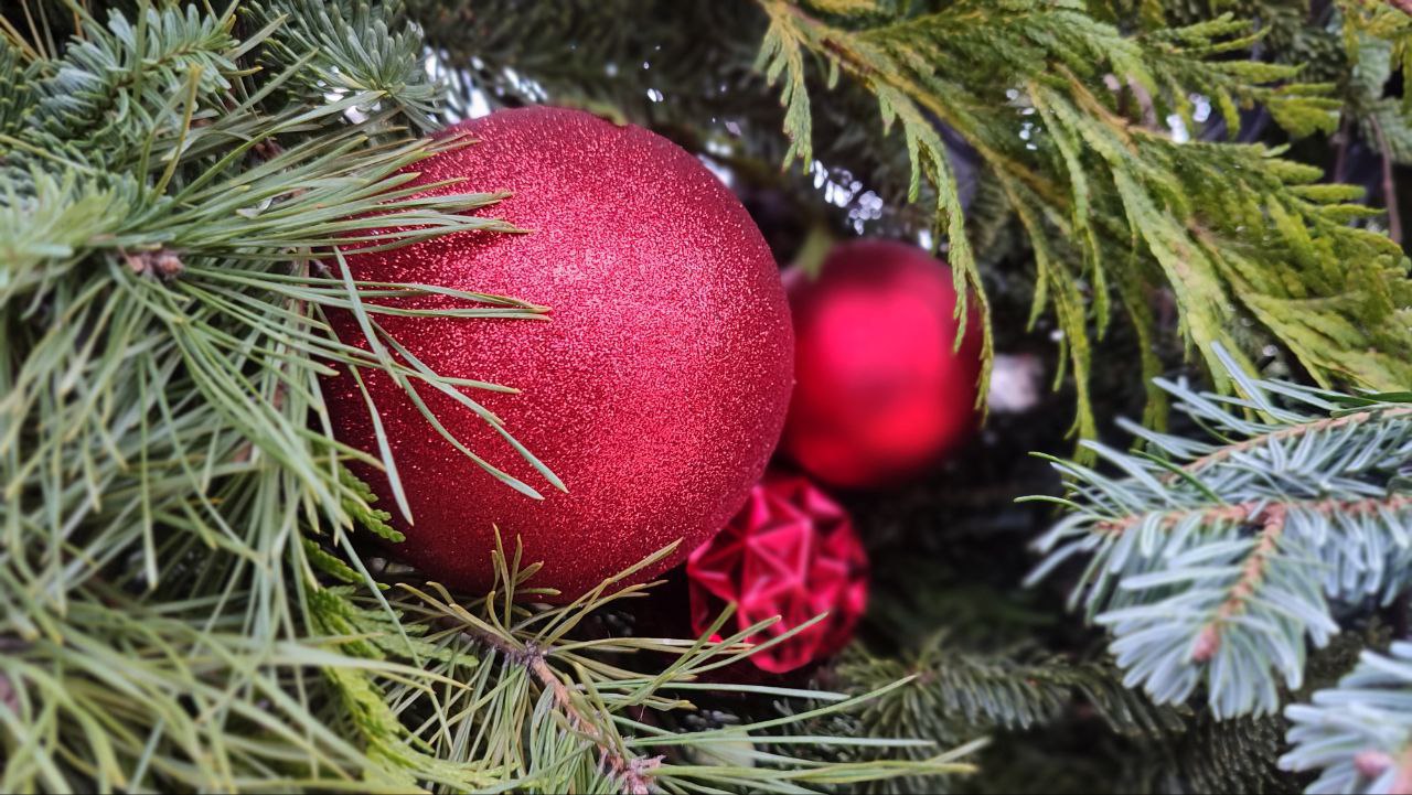 С каждым днем Тамбов все больше погружается в атмосферу предстоящих новогодних праздников С каждым днем Тамбов все больше погружается в атмосферу предстоящих новогодних праздников