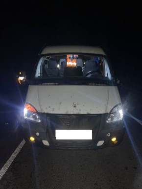 На трассе в Уваровском округе водитель микроавтобуса насмерть сбил пешехода