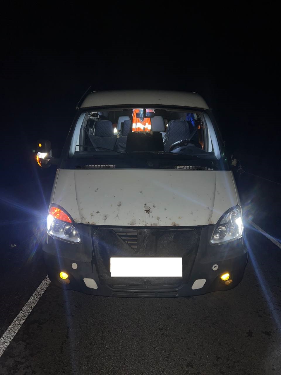 На трассе в Уваровском округе водитель микроавтобуса насмерть сбил пешехода