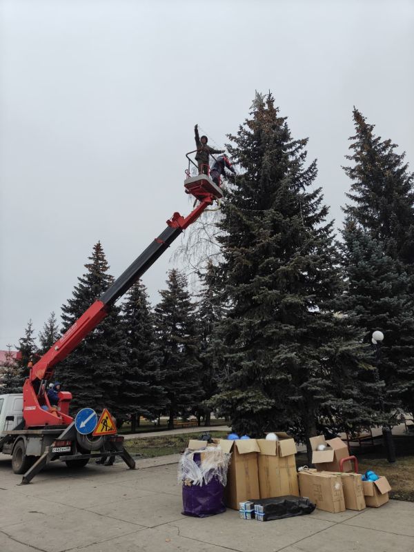 На улице Гастелло в Тамбове украсили живую ель