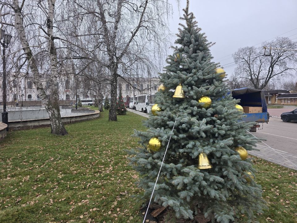 Создание праздничной атмосферы в Тамбове продолжилось украшением 15 молодых голубых елей на Привокзальной площади