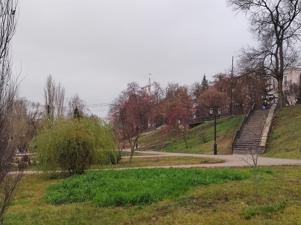 Трава зеленеет на набережной