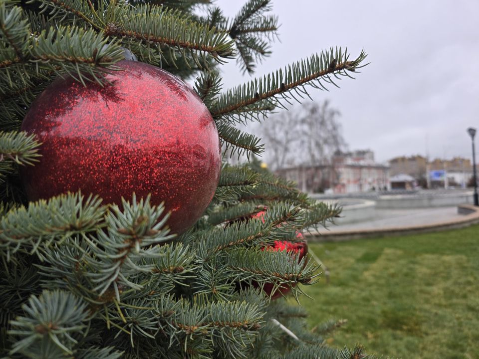 Создание праздничной атмосферы в Тамбове продолжилось украшением 15 молодых голубых елей на Привокзальной площади Создание праздничной атмосферы в Тамбове продолжилось украшением 15 молодых голубых елей на Привокзальной площади