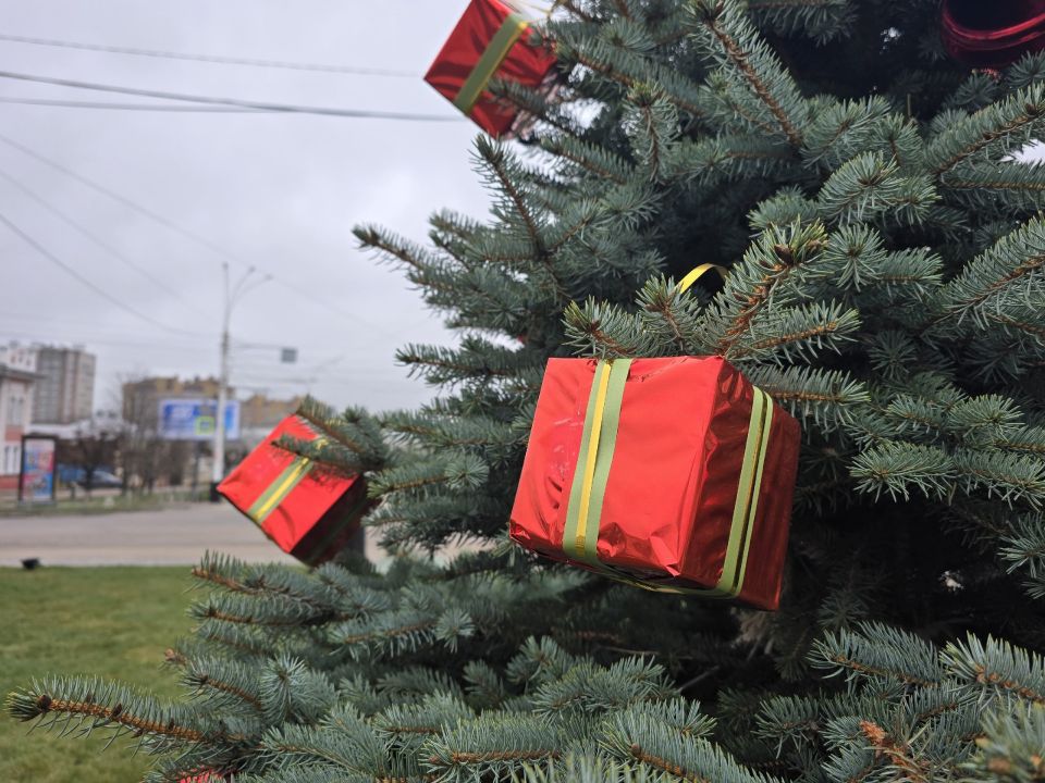 Создание праздничной атмосферы в Тамбове продолжилось украшением 15 молодых голубых елей на Привокзальной площади Создание праздничной атмосферы в Тамбове продолжилось украшением 15 молодых голубых елей на Привокзальной площади