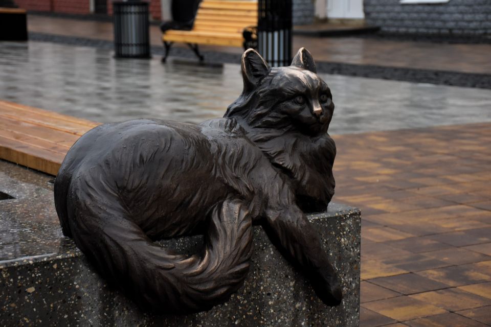 Дом молодежи Тамбова продолжает реализацию необычного краеведческого проекта «КартографЪ» Дом молодежи Тамбова продолжает реализацию необычного краеведческого проекта «КартографЪ»