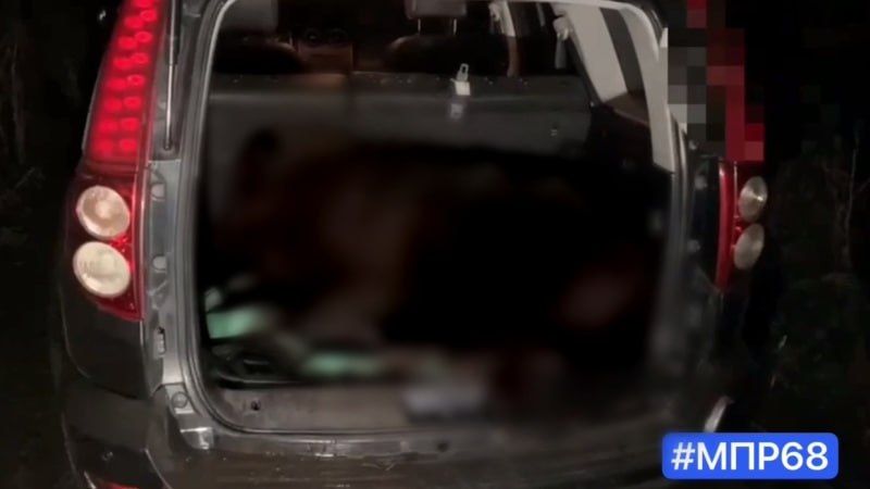 Под Тамбовом инспекторы задержали браконьеров с тушей кабана