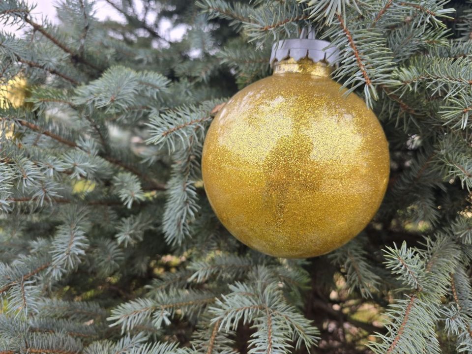 Ели на Привокзальной площади украсили к Новому году Ели на Привокзальной площади украсили к Новому году