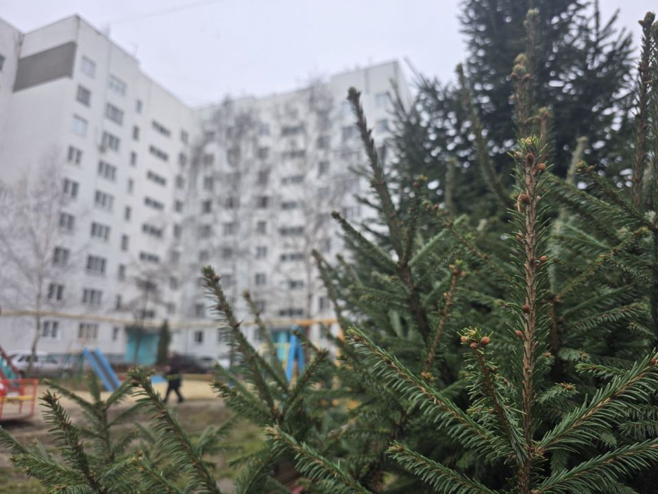 Доброе утро, Тамбов!. Сегодня нас ждет прохладная погода, но с температурой пока еще с плюсовыми значениями — 1-2 градуса