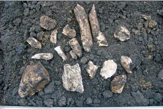 Три десятка древних курганов нашли археологи в Рассказовском округе