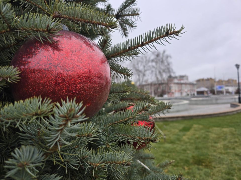Ели на Привокзальной площади украсили к Новому году Ели на Привокзальной площади украсили к Новому году