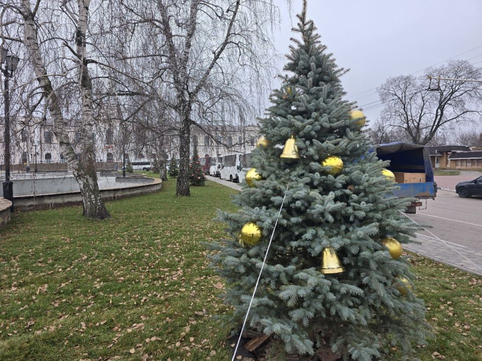 Ели на Привокзальной площади украсили к Новому году Ели на Привокзальной площади украсили к Новому году