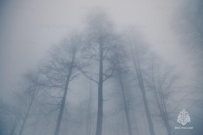 В Тамбовской области в ближайшие 1-3 часа ожидается туман с видимостью 200-500 метров