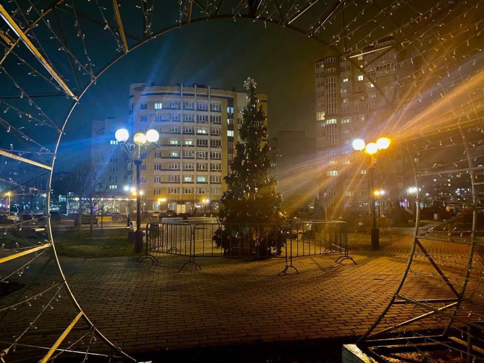 Ёлка на севере Тамбова. Андрей Кузнецов