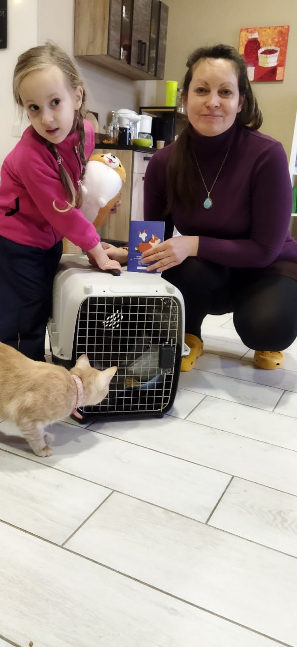 Хорошие новости! Кошка Милица из котокафе обрела семью Хорошие новости! Кошка Милица из котокафе обрела семью