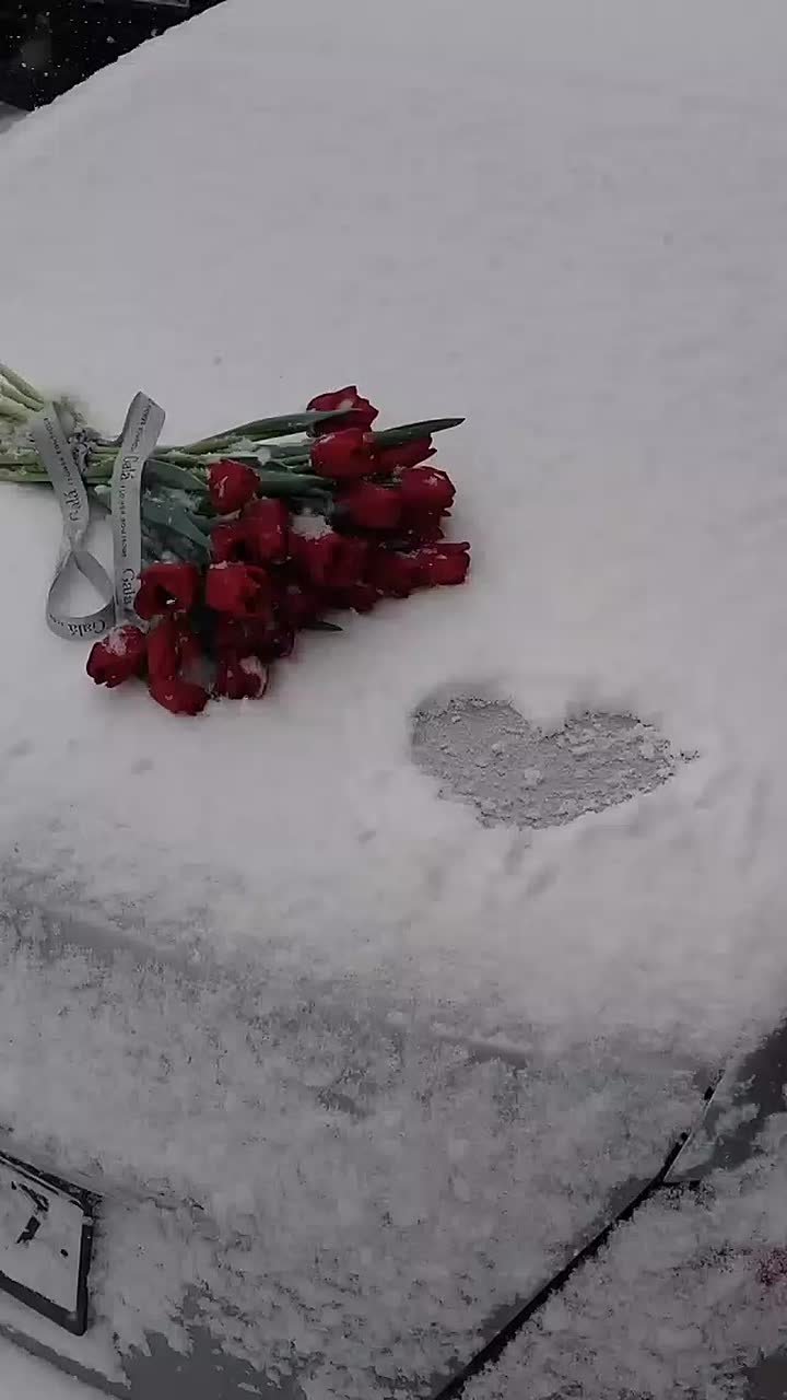 Вместо вечерней медитации