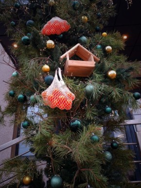 Город в ожидании праздника