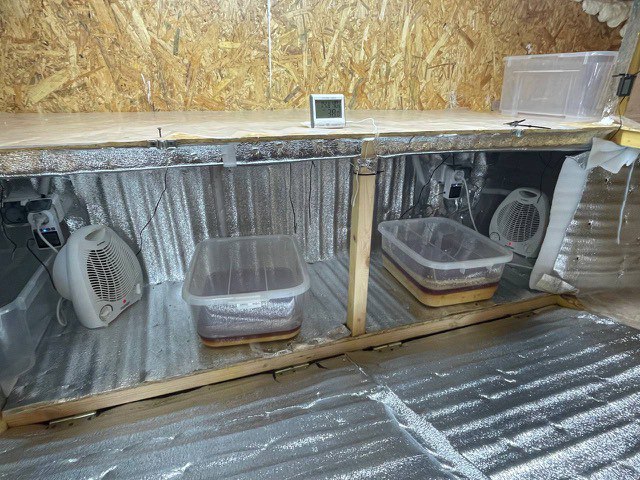 В Тамбовской области полиция ликвидировала подпольный наркоцех, организованный супругами из Подмосковья В Тамбовской области полиция ликвидировала подпольный наркоцех, организованный супругами из Подмосковья