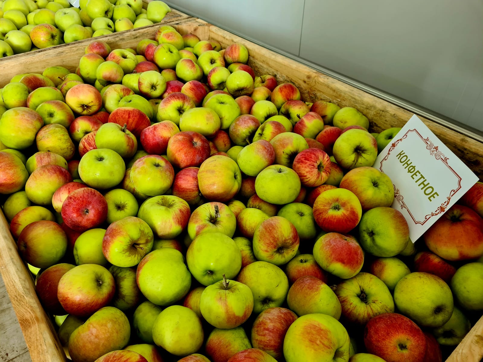 По информации министерства сельского хозяйства Тамбовской области в садоводческих хозяйствах региона собрано более 21,6 тысячи тонн яблок