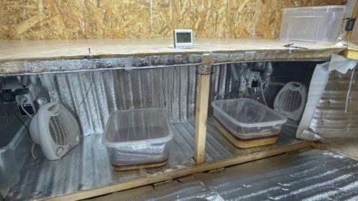 Наркоцех, организованный в Тамбовской области супругами из Подмосковья, ликвидировала полиция