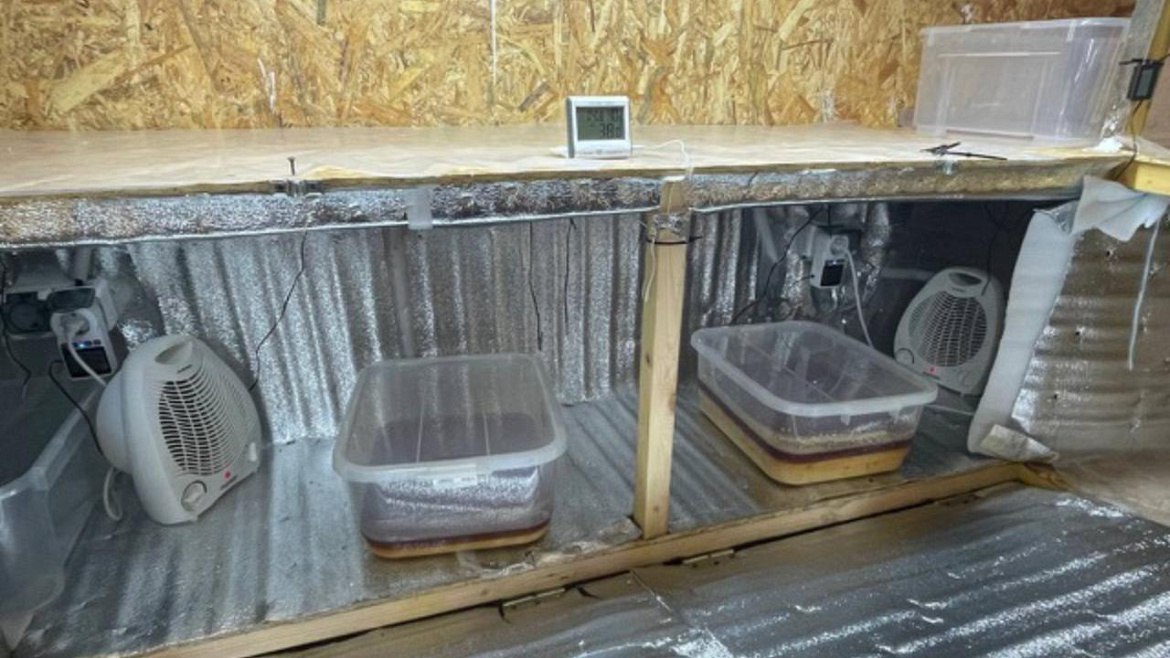 Наркоцех, организованный в Тамбовской области супругами из Подмосковья, ликвидировала полиция