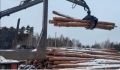 По информации регионального департамента лесного хозяйства c начала специальной военной операции лесхозы Тамбовской области отправили в зону СВО почти 5 тысяч кубометров лесопродукции