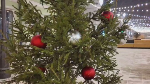 В Тамбове долгожданный снег! И в воздухе сразу повеяло тем самым предновогодним волшебством