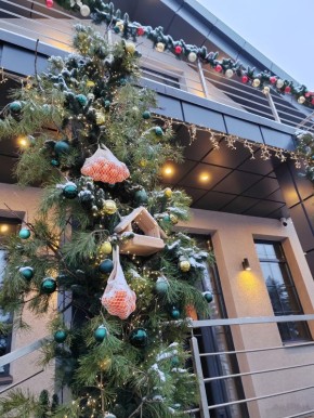 До Нового года осталось 20 дней