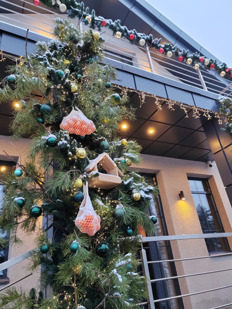 До Нового года остаётся всего 20 дней, и в Тамбове уже царит по-настоящему праздничное настроение