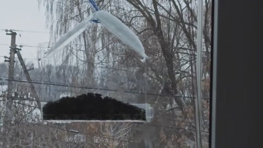 У окна снова гость — маленькая синичка заглянула в кормушку